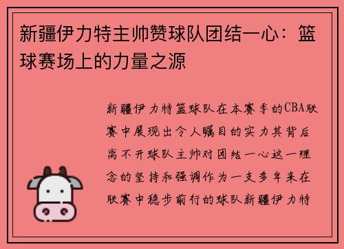 新疆伊力特主帅赞球队团结一心：篮球赛场上的力量之源